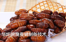  养殖